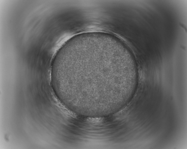 X0000103961415200810171851