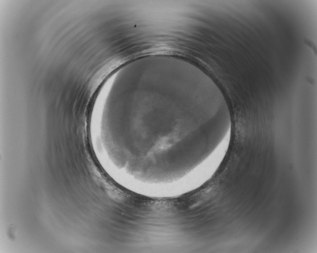 X0000103961418200810171852