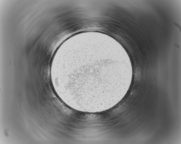 X0000103961420200810171852