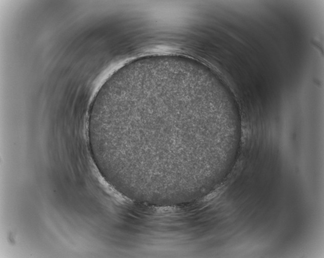 X0000103961421200810171852