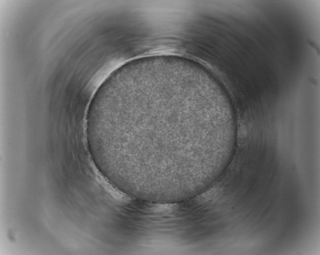 X0000103961423200810171852