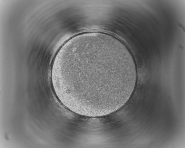 X0000103961424200810171852