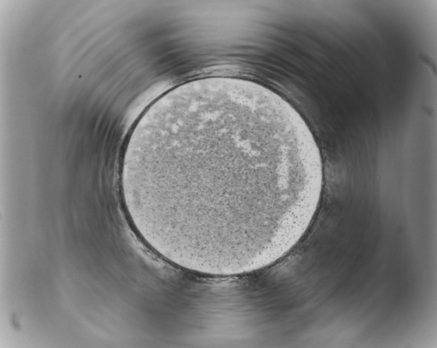 X0000103961426200810171852