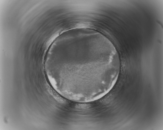 X0000103961427200810171852