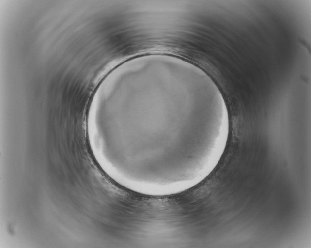 X0000103961428200810171852