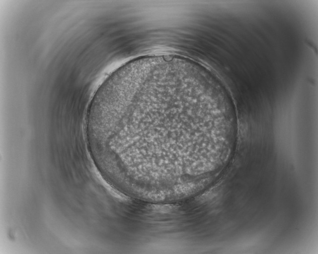 X0000103961429200810171852