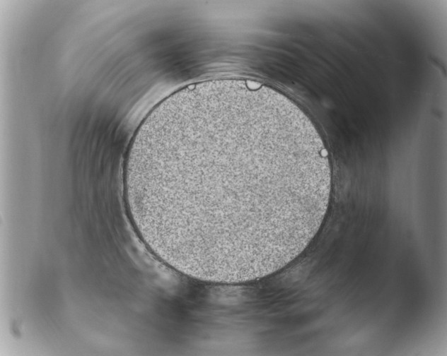 X0000103961431200810171852