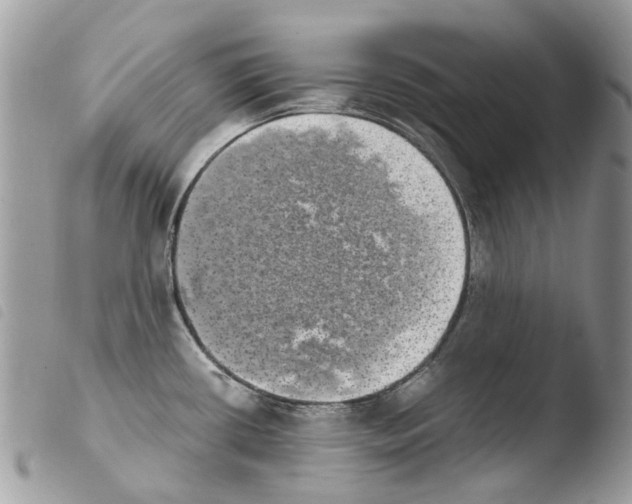 X0000103961434200810171852