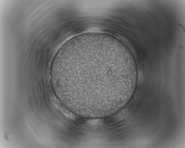 X0000103961435200810171852