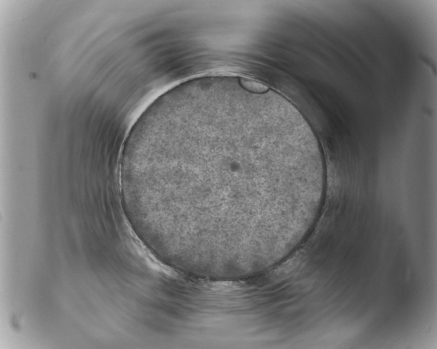 X0000103961436200810171852