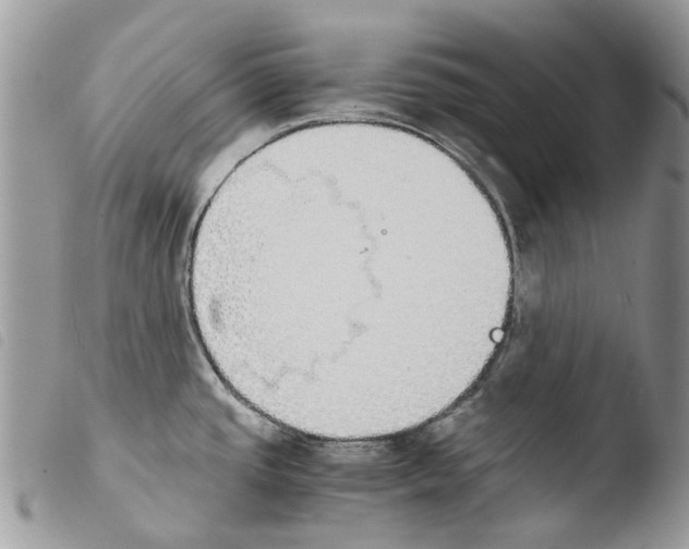 X0000103961437200810171852