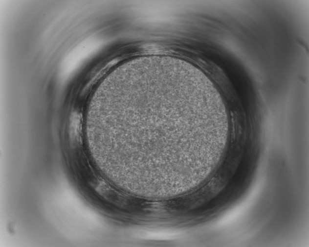 X0000103961438200810171852