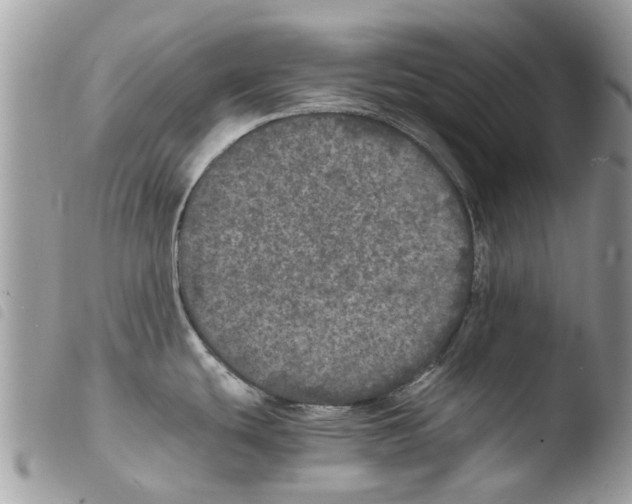 X0000103961439200810171852