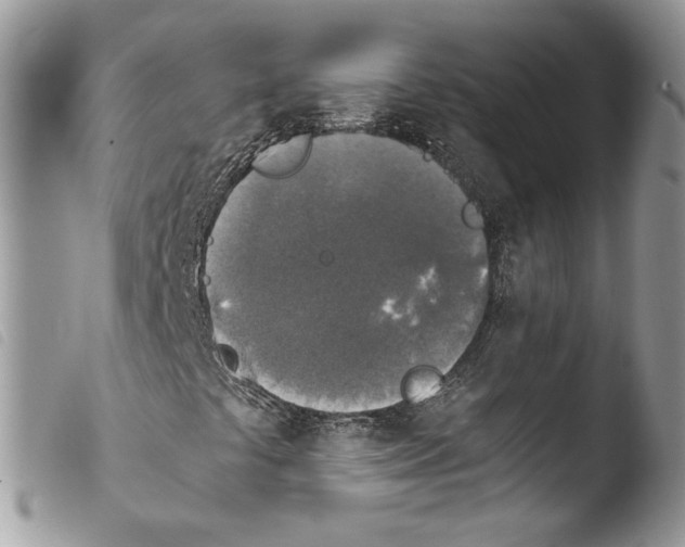 X0000103961441200810171851