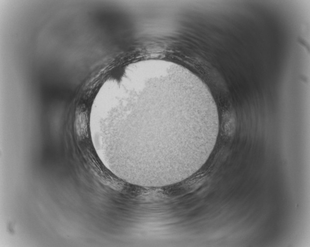 X0000103961442200810171851