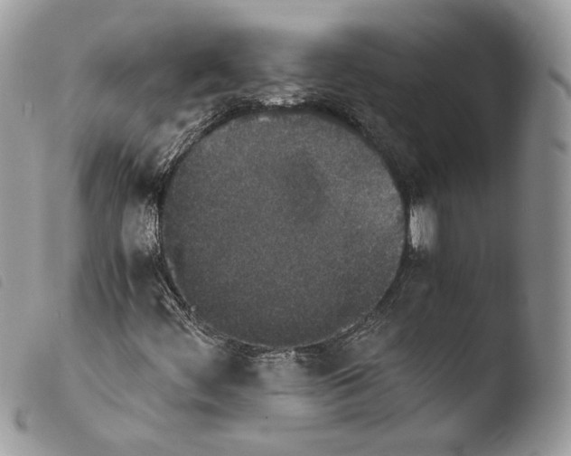 X0000103961444200810171851