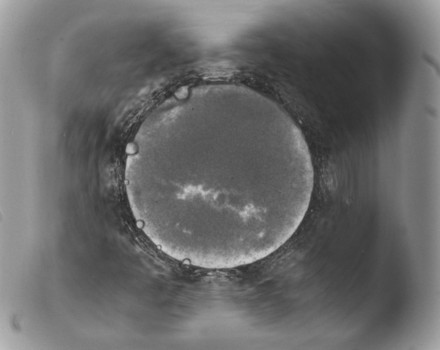 X0000103961445200810171851