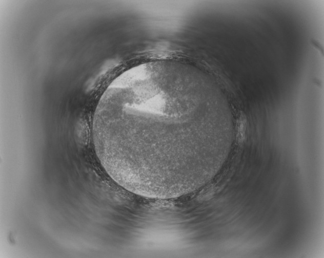 X0000103961446200810171851