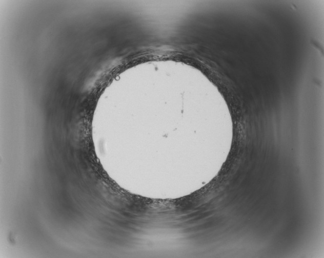 X0000103961447200810171851