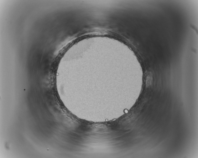 X0000103961448200810171851