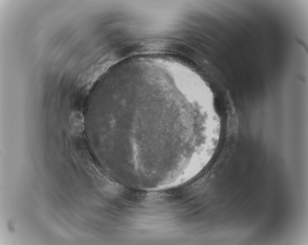 X0000103961449200810171851