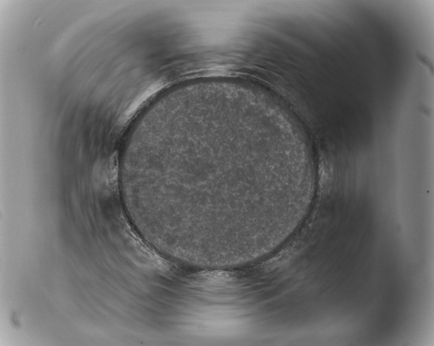 X0000103961450200810171851