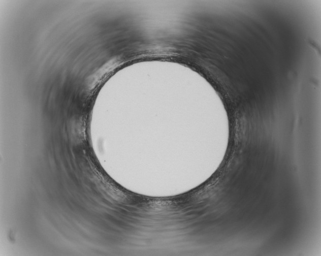 X0000103961451200810171851