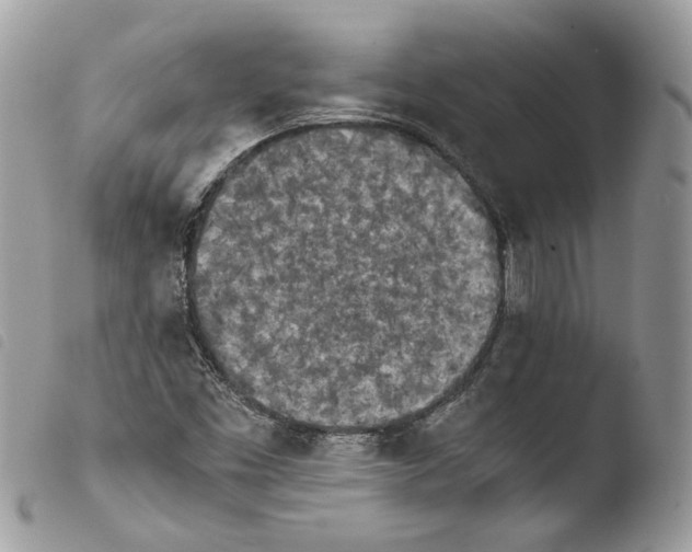 X0000103961453200810171851