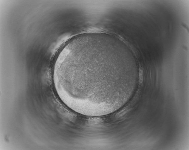 X0000103961454200810171851