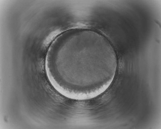 X0000103961455200810171851