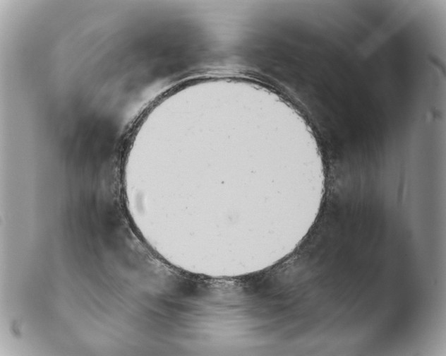 X0000103961456200810171851