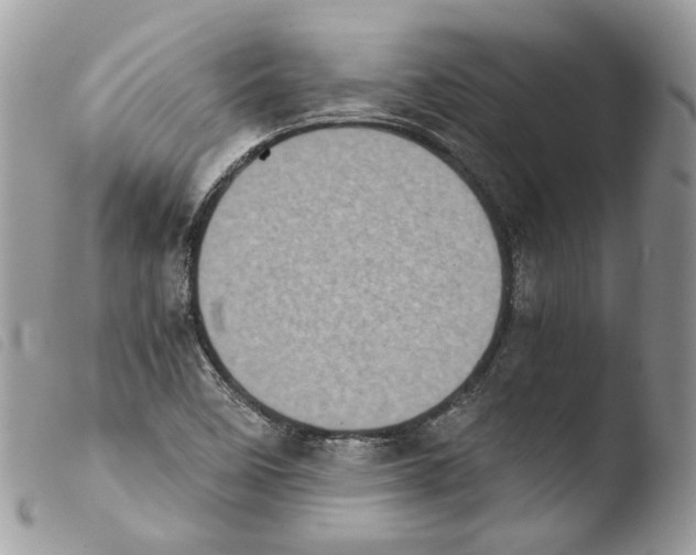 X0000103961458200810171851