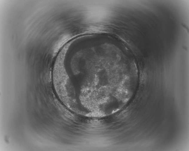 X0000103961459200810171851