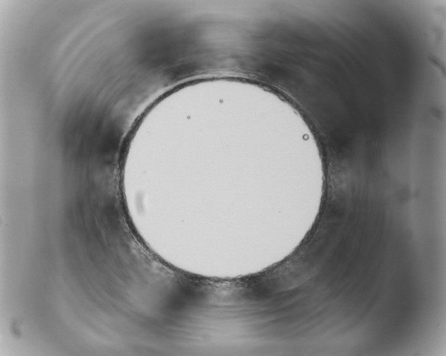 X0000103961460200810171851