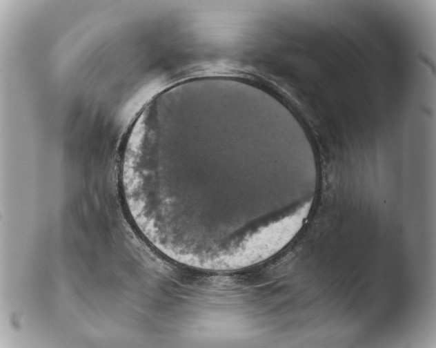 X0000103961463200810171851