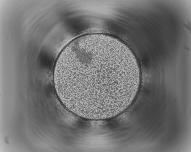 X0000103961465200810171851