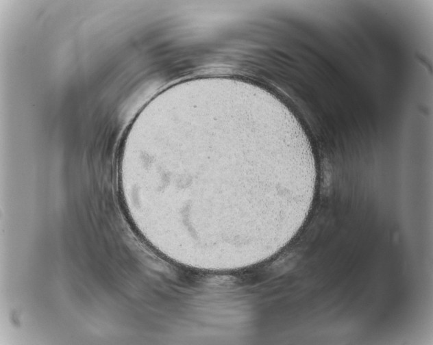 X0000103961467200810171851