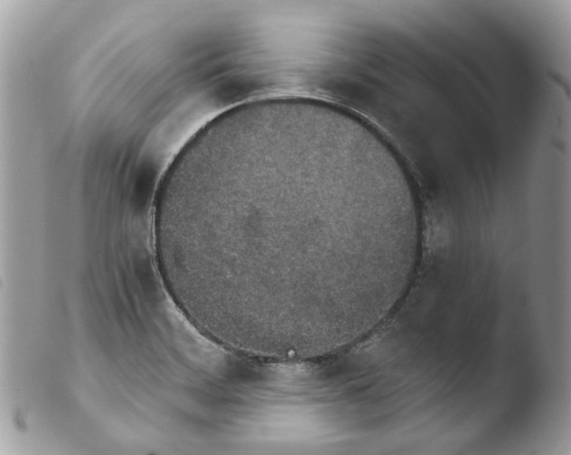 X0000103961468200810171851