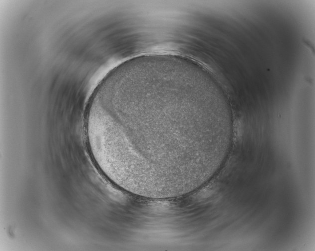 X0000103961470200810171851