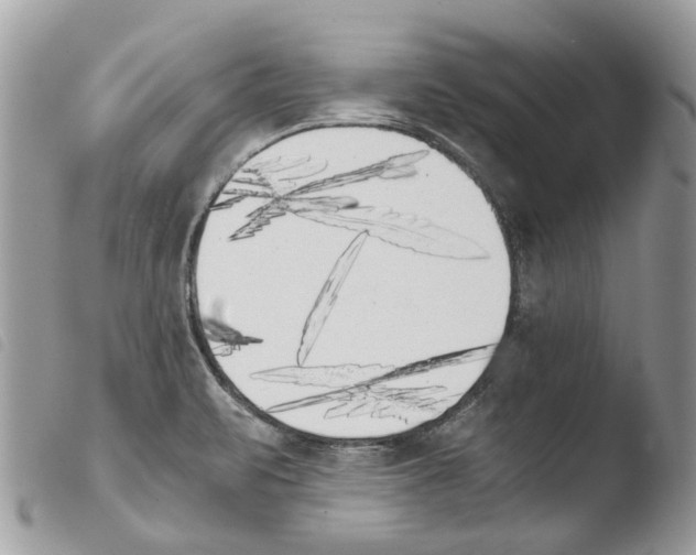 X0000103961471200810171851