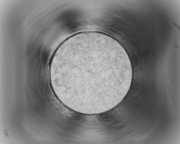 X0000103961472200810171851