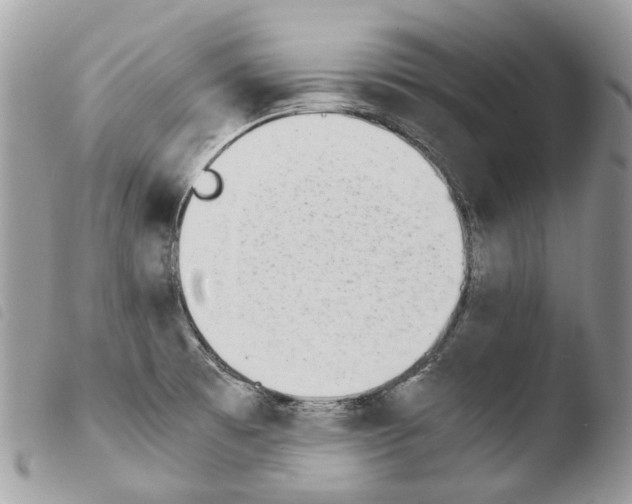 X0000103961473200810171851