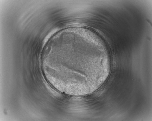 X0000103961474200810171851