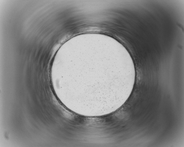 X0000103961475200810171851