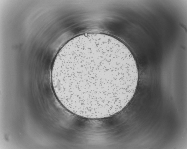 X0000103961476200810171851