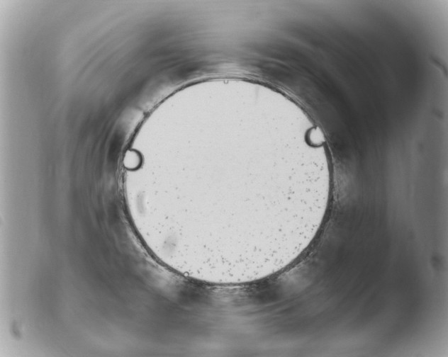 X0000103961477200810171850