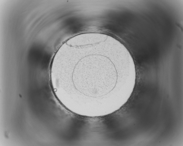 X0000103961479200810171850