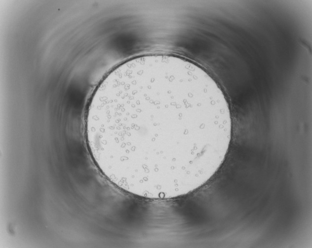 X0000103961480200810171850