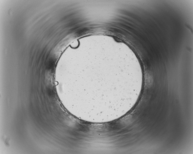 X0000103961481200810171850