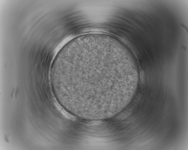 X0000103961482200810171850